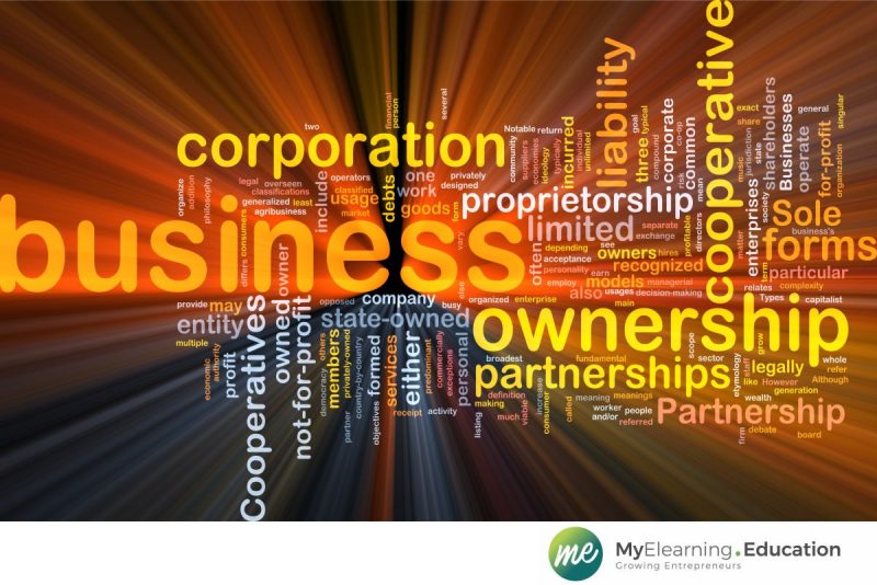type of business ownership
